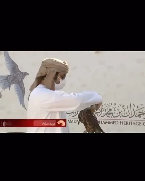 A falconer with a falcon at a UAE Falconers League race